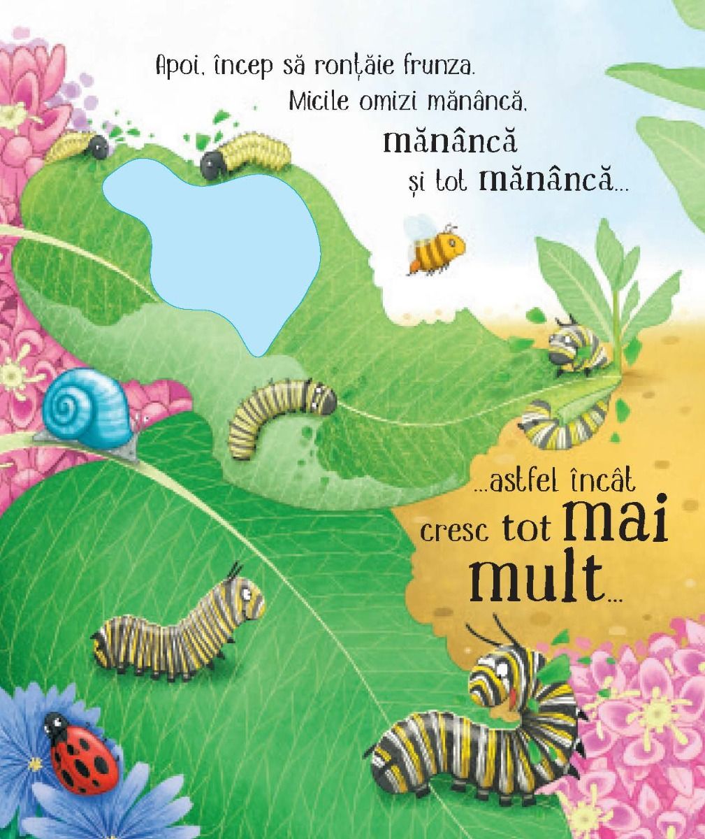 Carte Usborne pentru copii ilustrata si cartonata integral, in limba romana