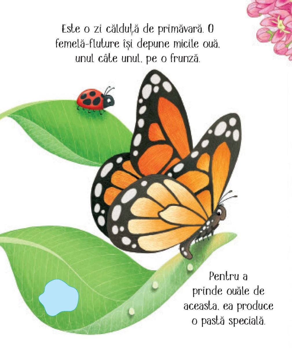 Carte Usborne pentru copii ilustrata si cartonata integral, in limba romana