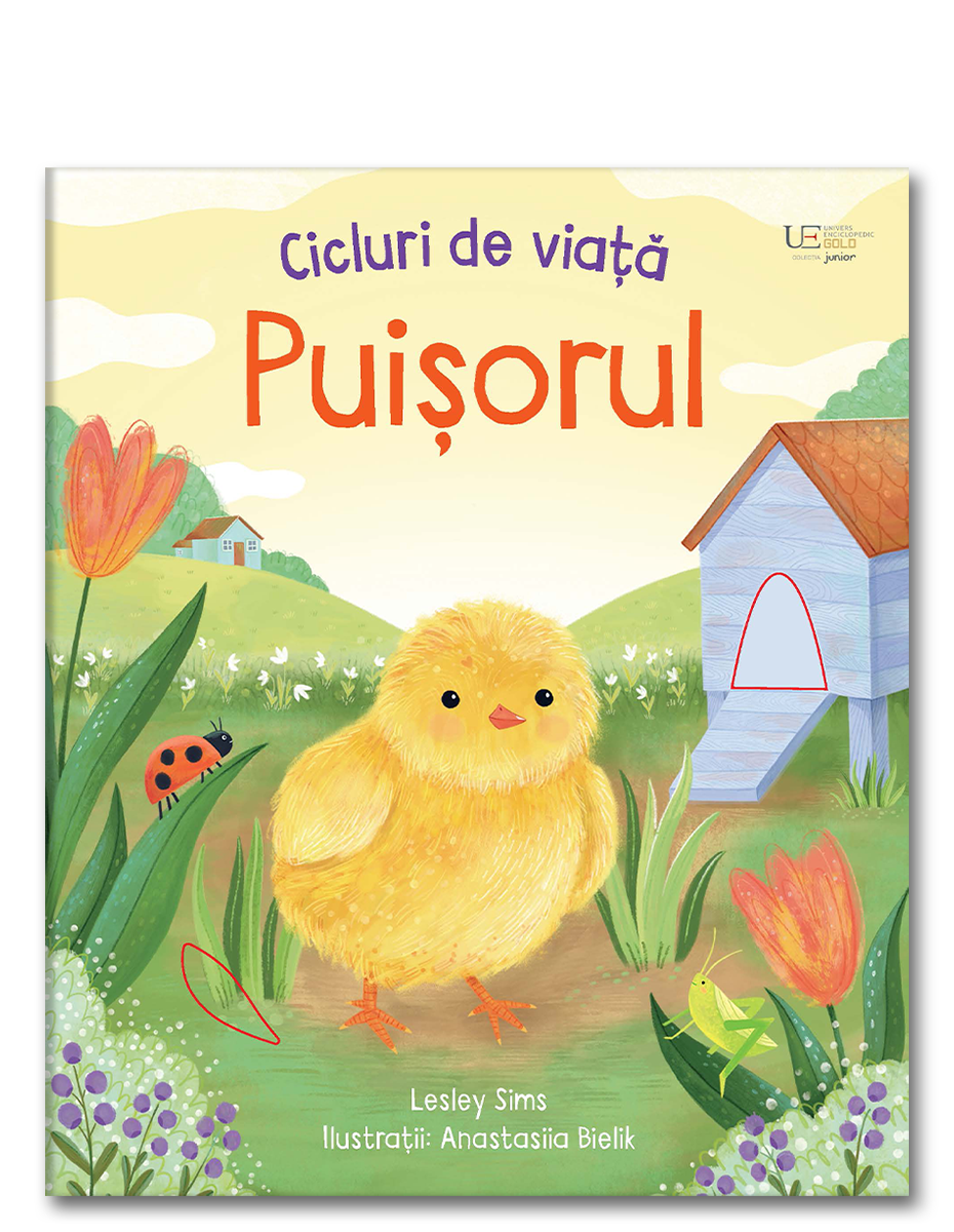 Carte Usborne pentru copii ilustrata si cartonata integral, in limba romana