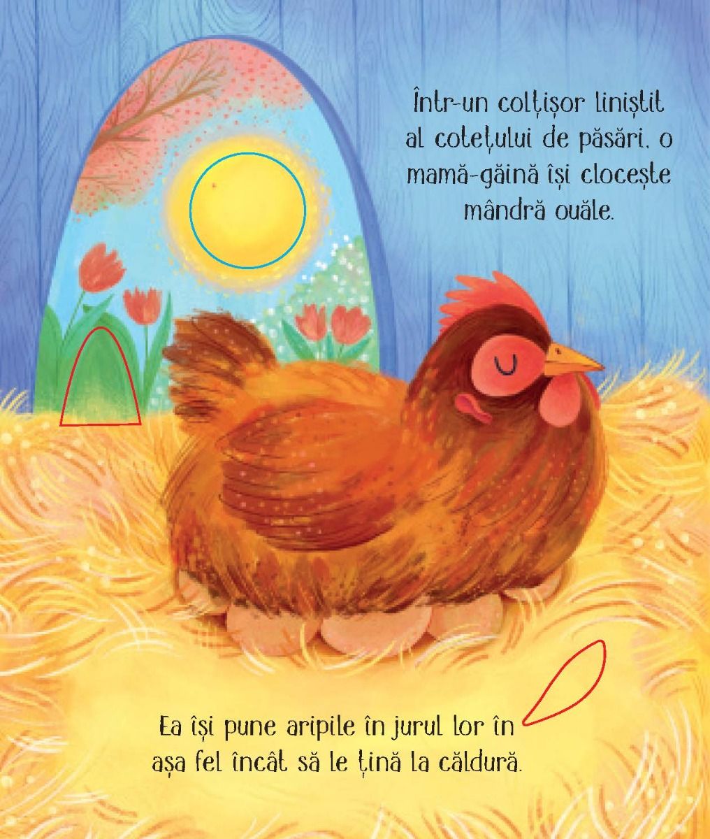 Carte Usborne pentru copii ilustrata si cartonata integral, in limba romana