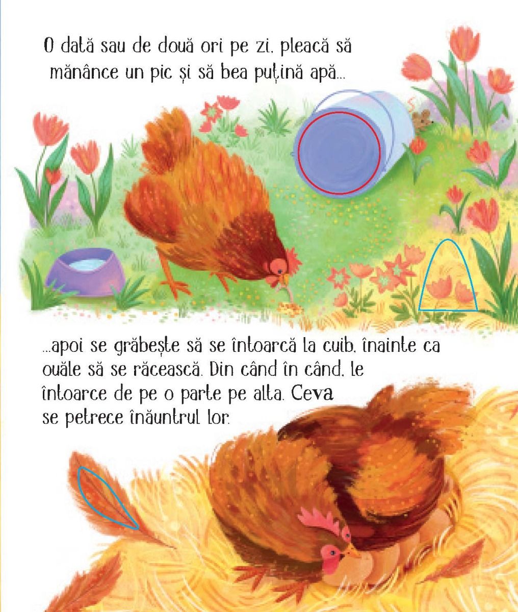Carte Usborne pentru copii ilustrata si cartonata integral, in limba romana