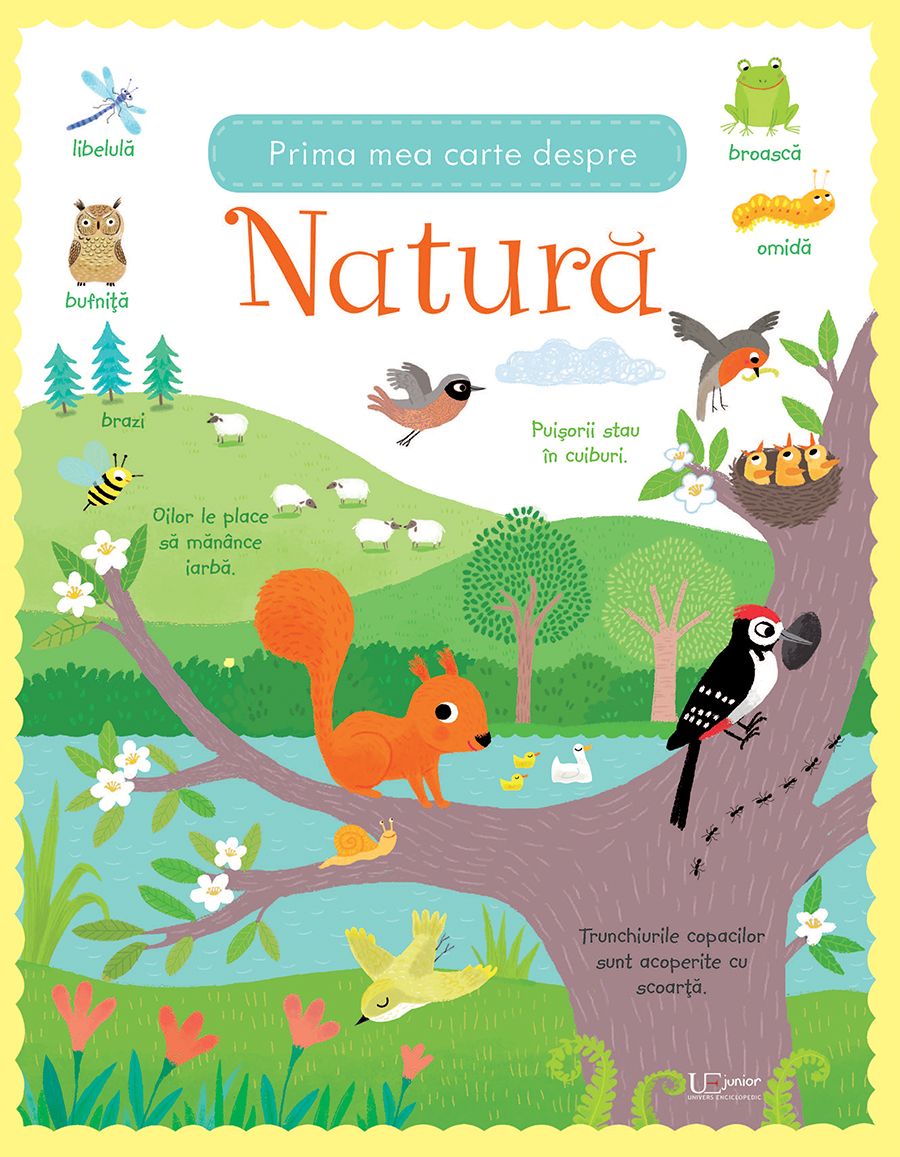 Carte Usborne pentru copii in limba romana Prima Mea Carte Despre Natura
