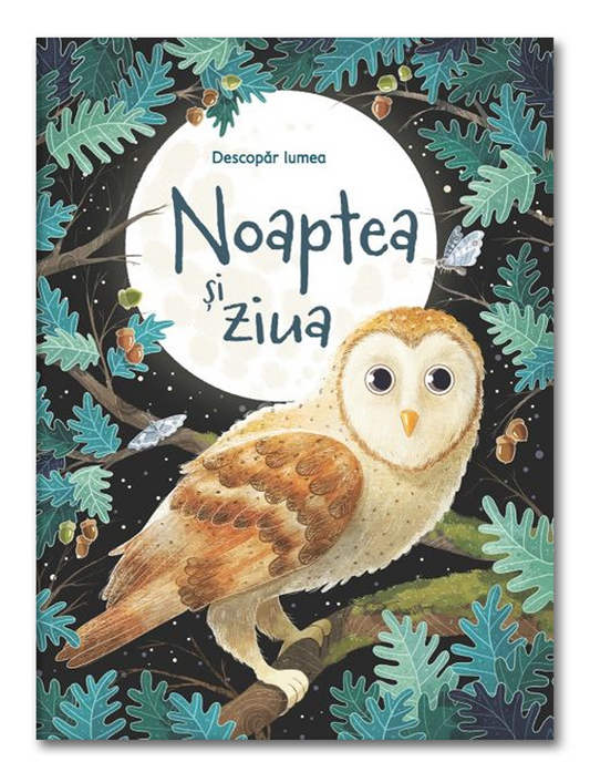 Carte educativa pentru copii Usborne in limba romana Noaptea si Ziua