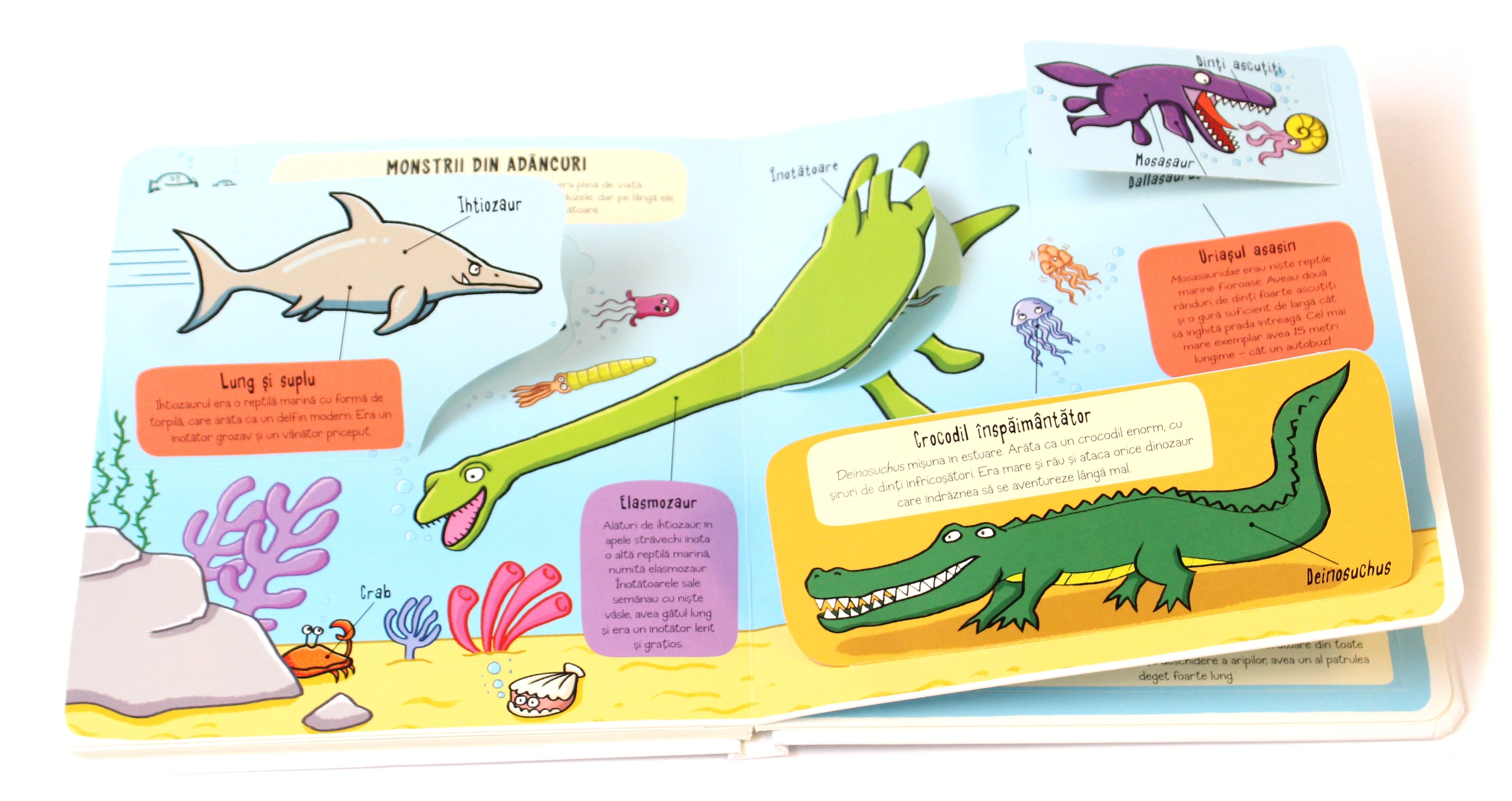 Carte educativa pentru copii, cu clapete