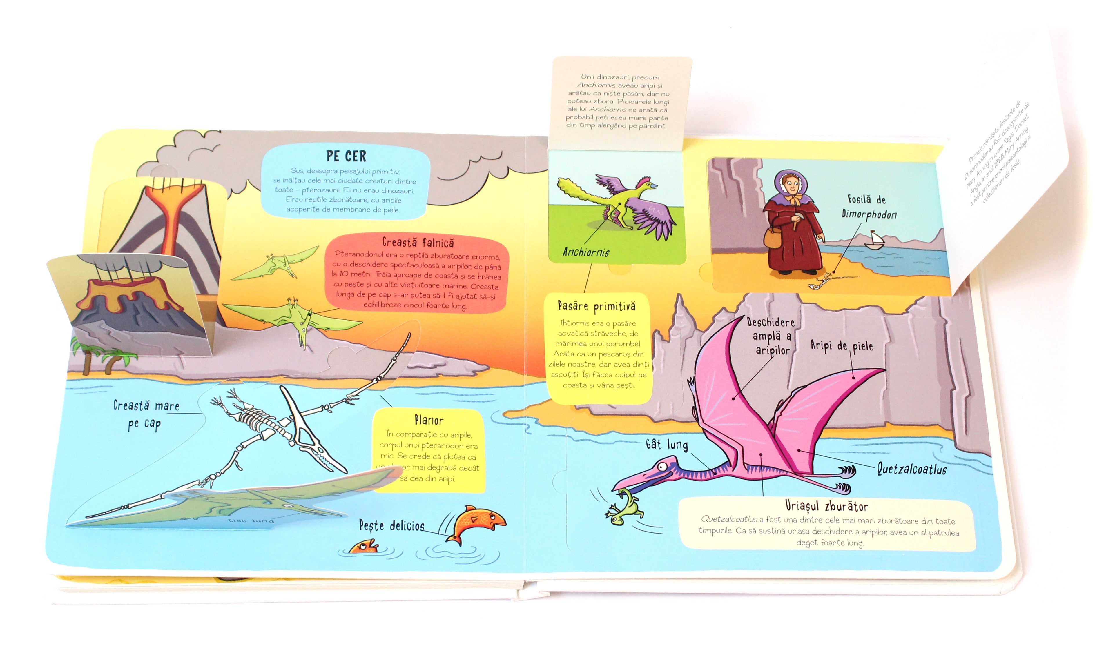 Carte educativa pentru copii, cu clapete