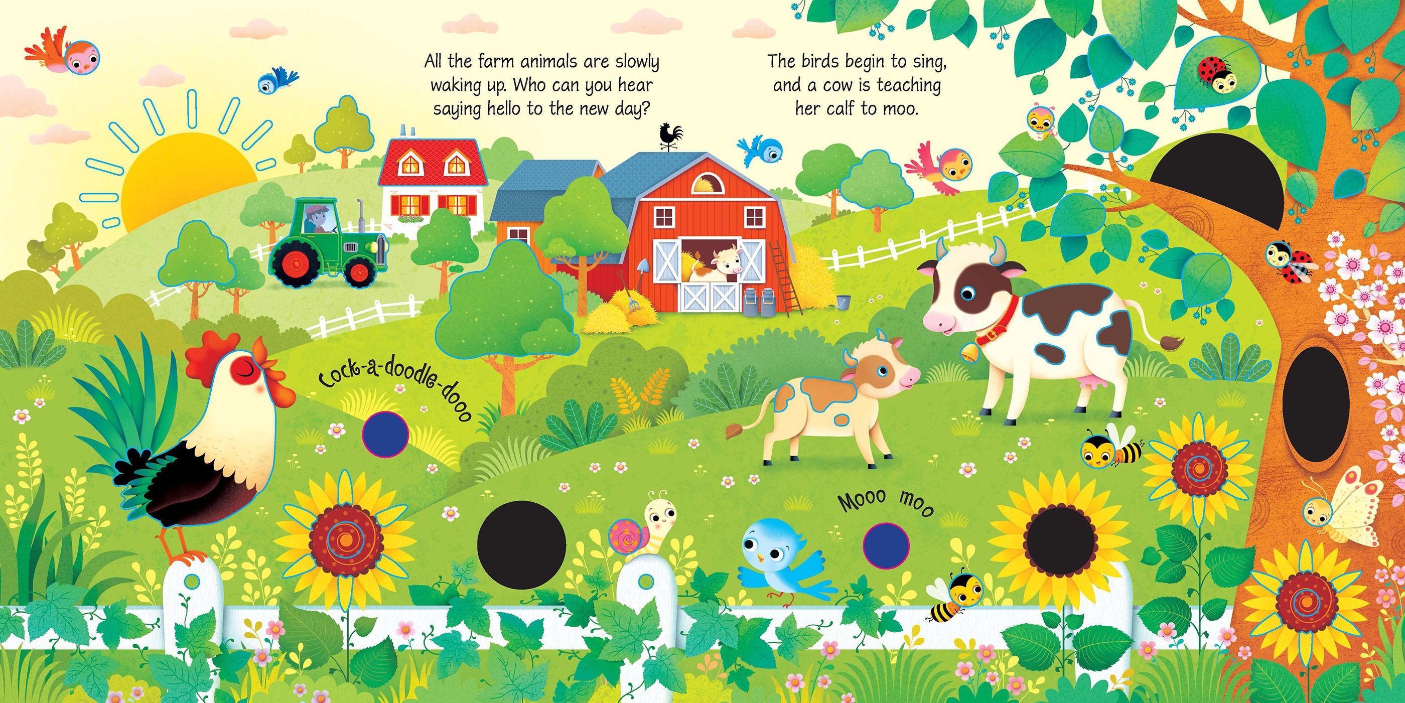 Carte pentru copii cu sunete de la ferma Usborne Farm Sounds