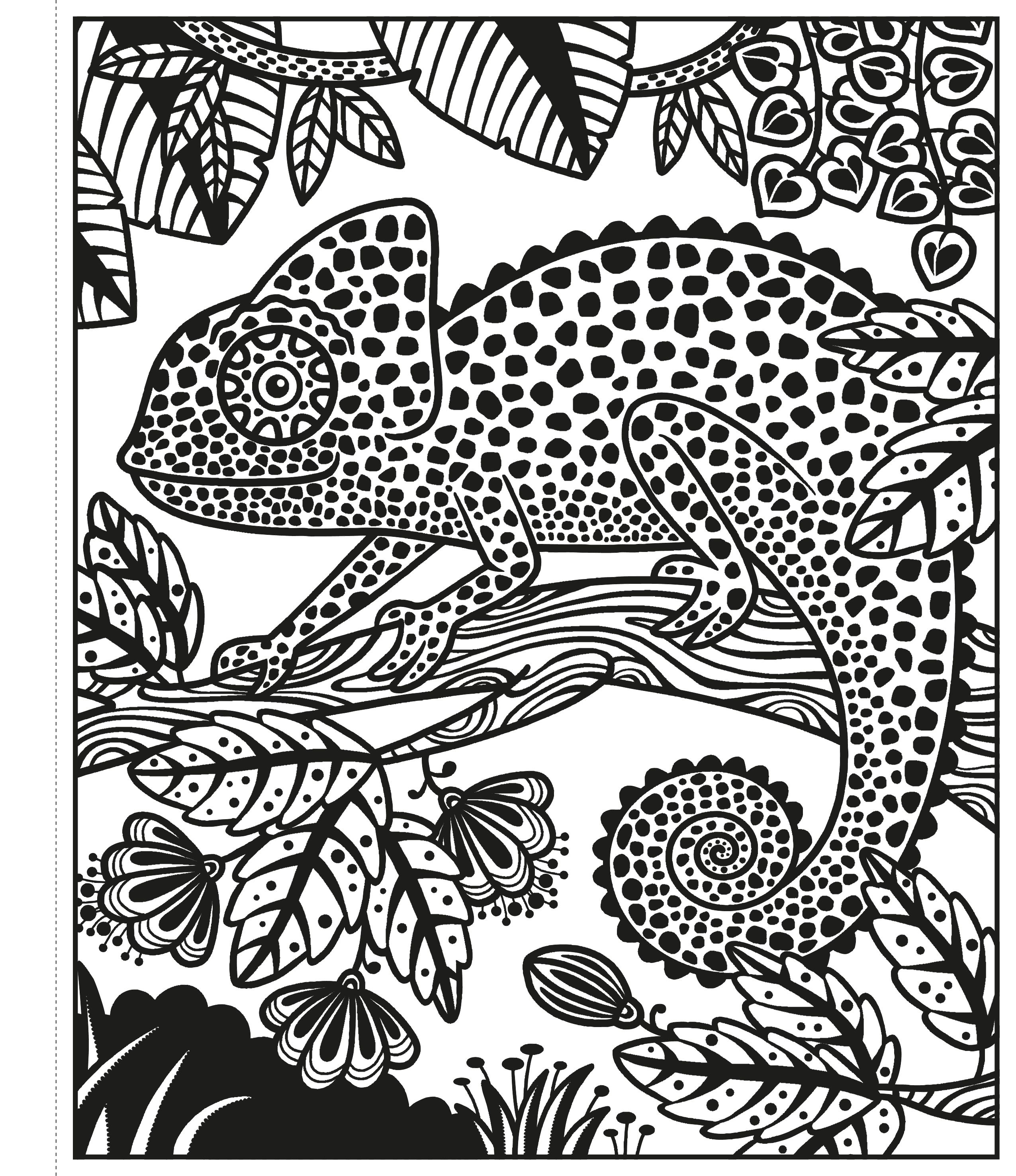 Carte pentru copii de pictura cu apa Usborne Magic Painting Jungle