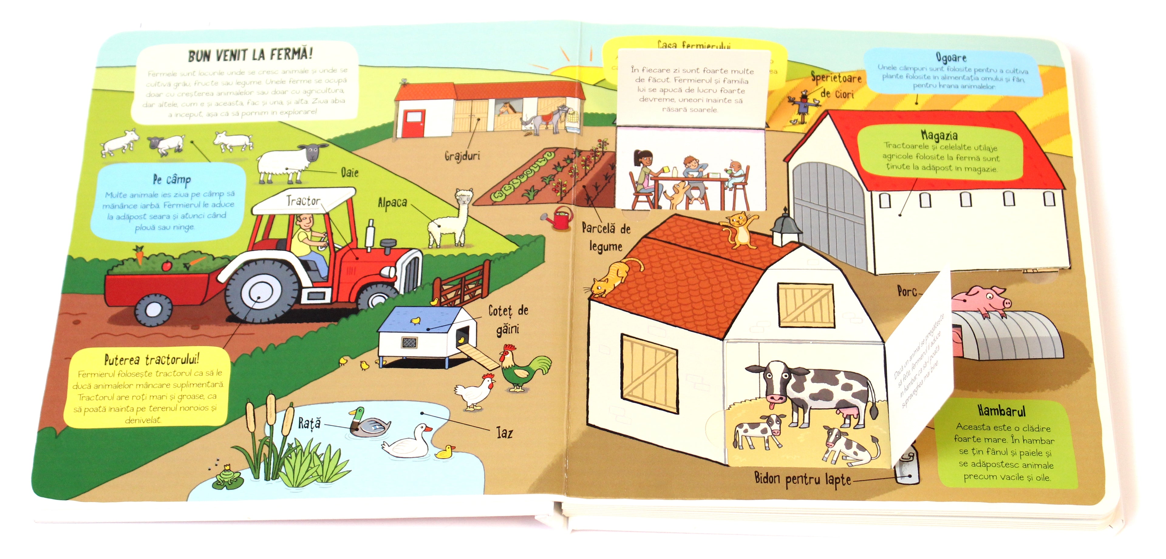 Carte educativa pentru copii, cu ferestre, cartonata integral