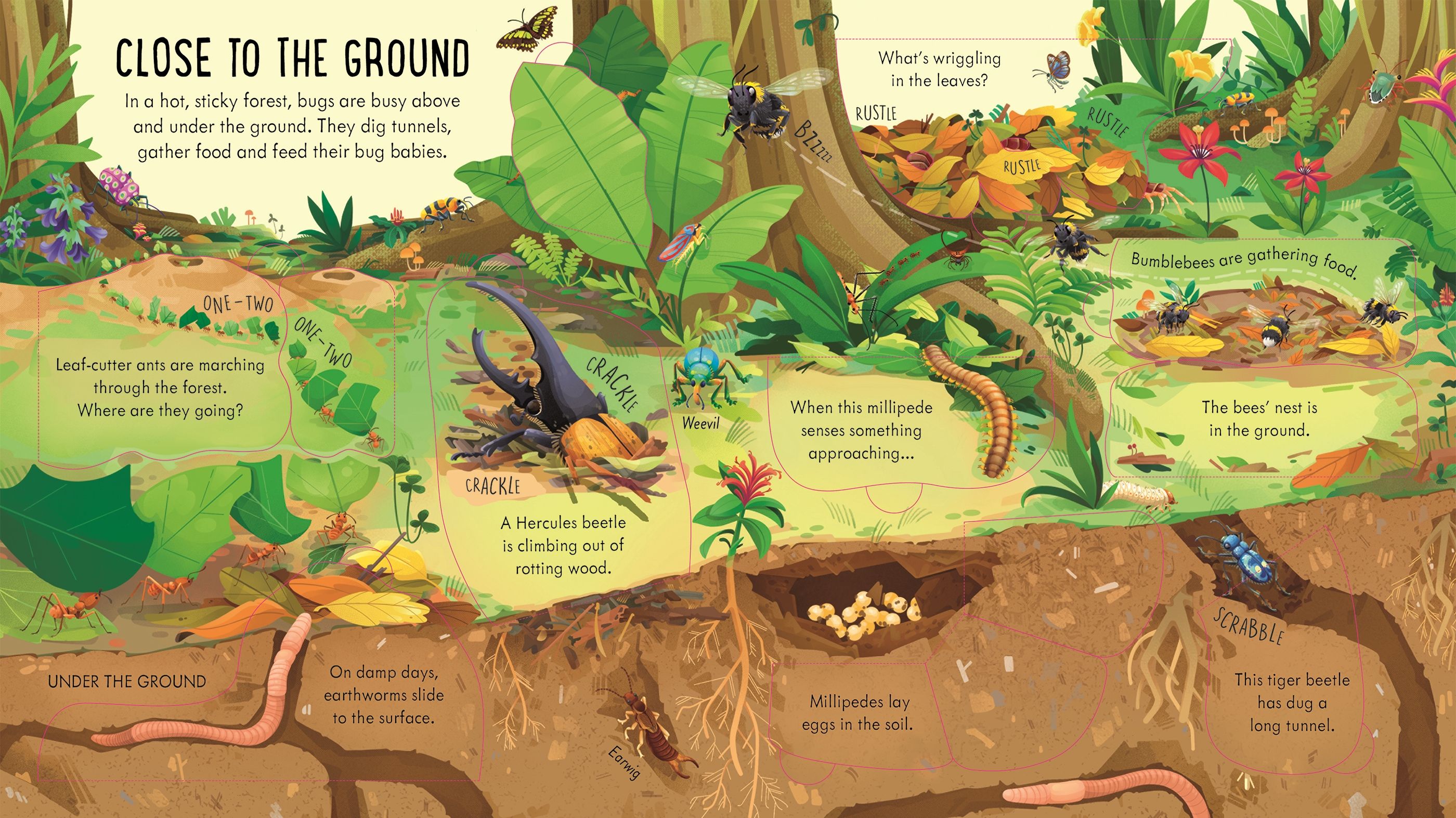 Carte educativa pentru copii, cu clapete, cartonata integral Usborne Look Inside Bug World