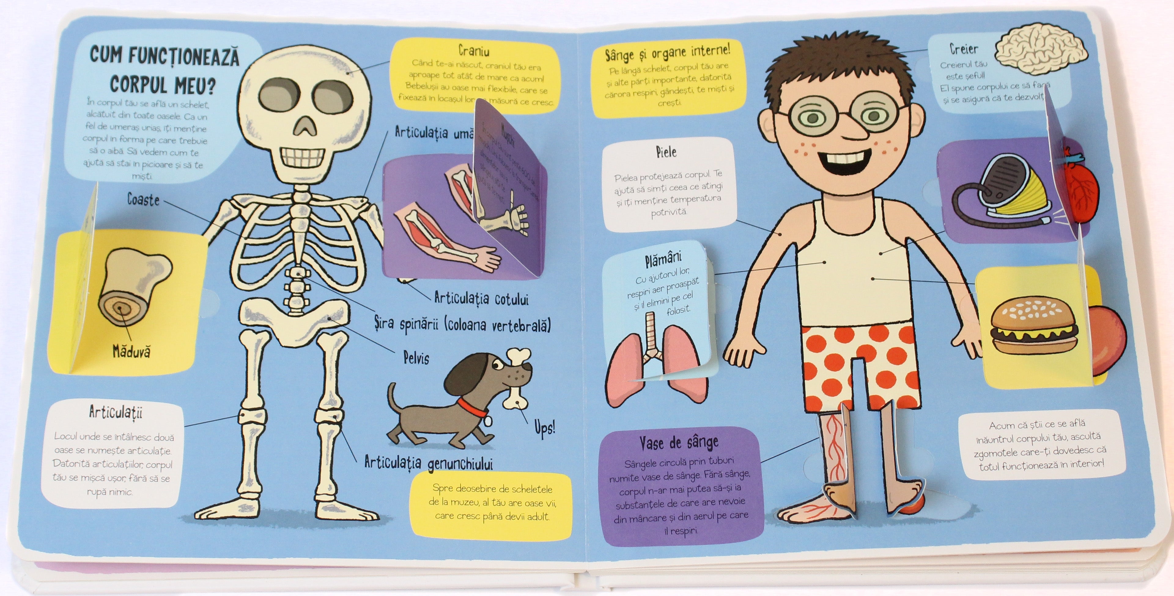 Carte educativa pentru copii, cartonata, cu ferestre