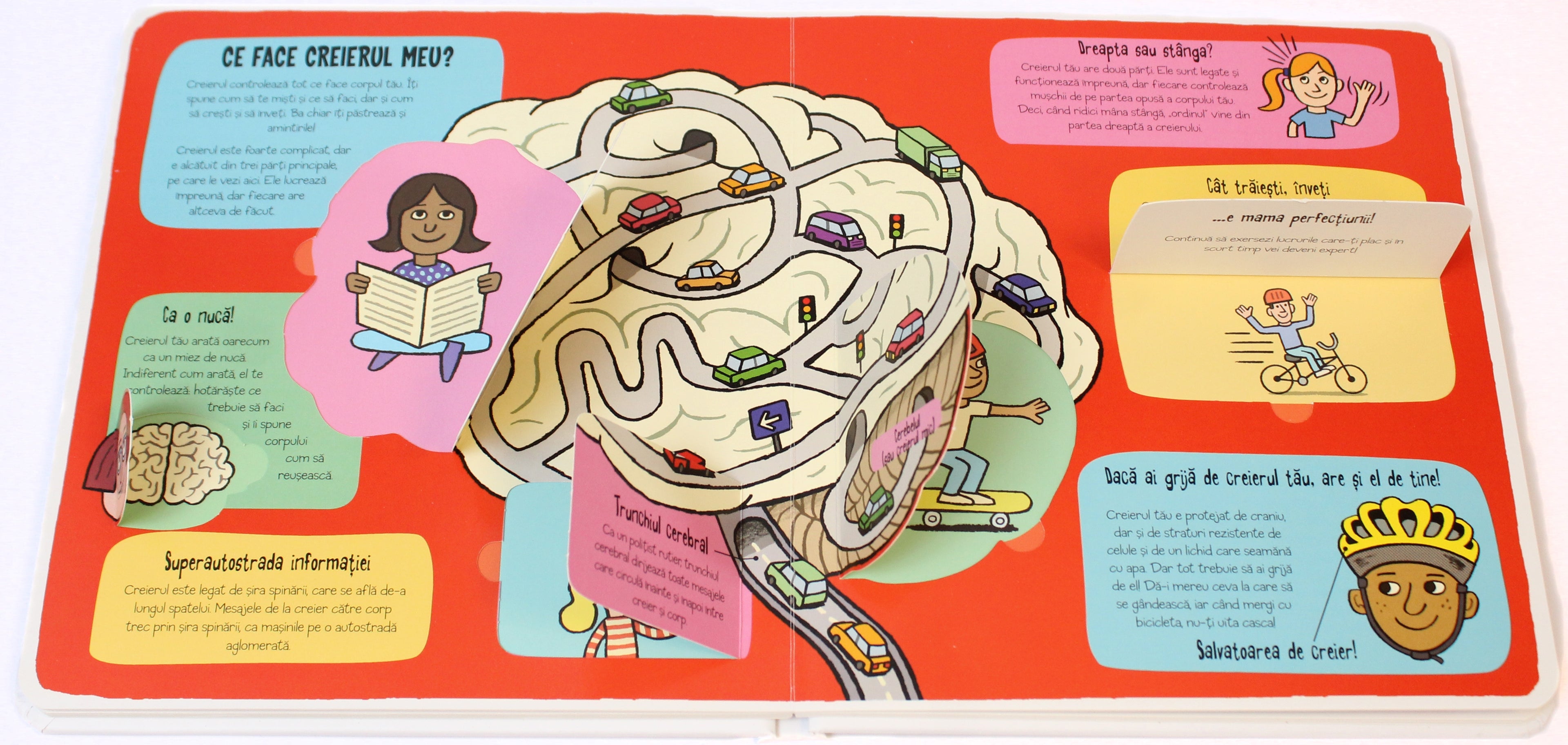 Carte educativa pentru copii, cartonata, cu ferestre