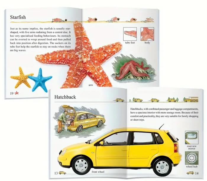 Set de carti pentru copii My First Encyclopedia