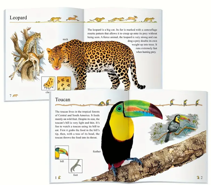 Set de carti pentru copii My First Encyclopedia