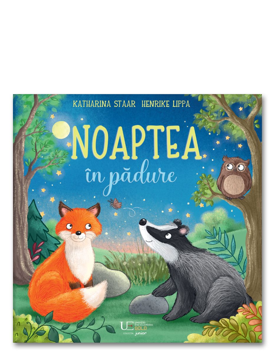 Carte de povesti pentru copii in limba romana Noaptea in Padure