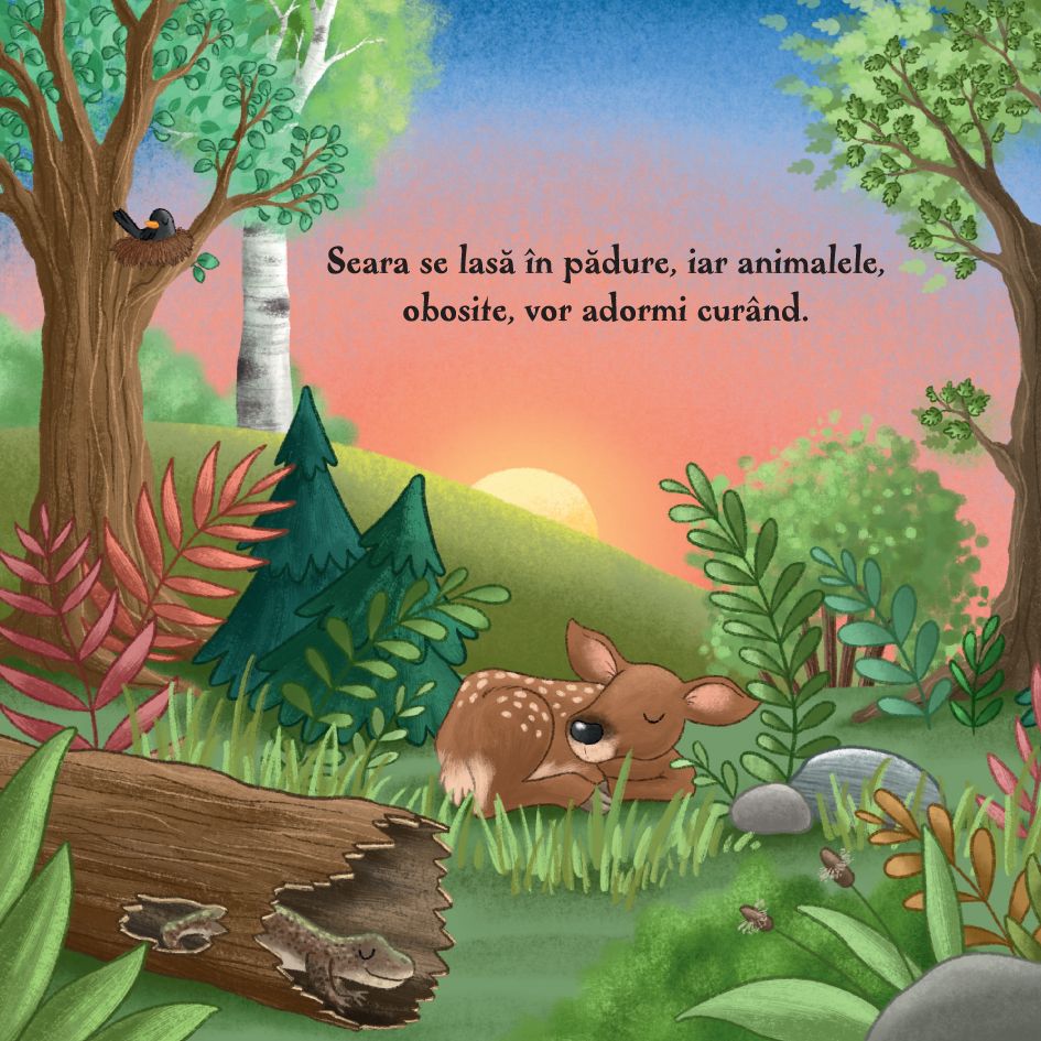 Carte de povesti pentru copii in limba romana Noaptea in Padure