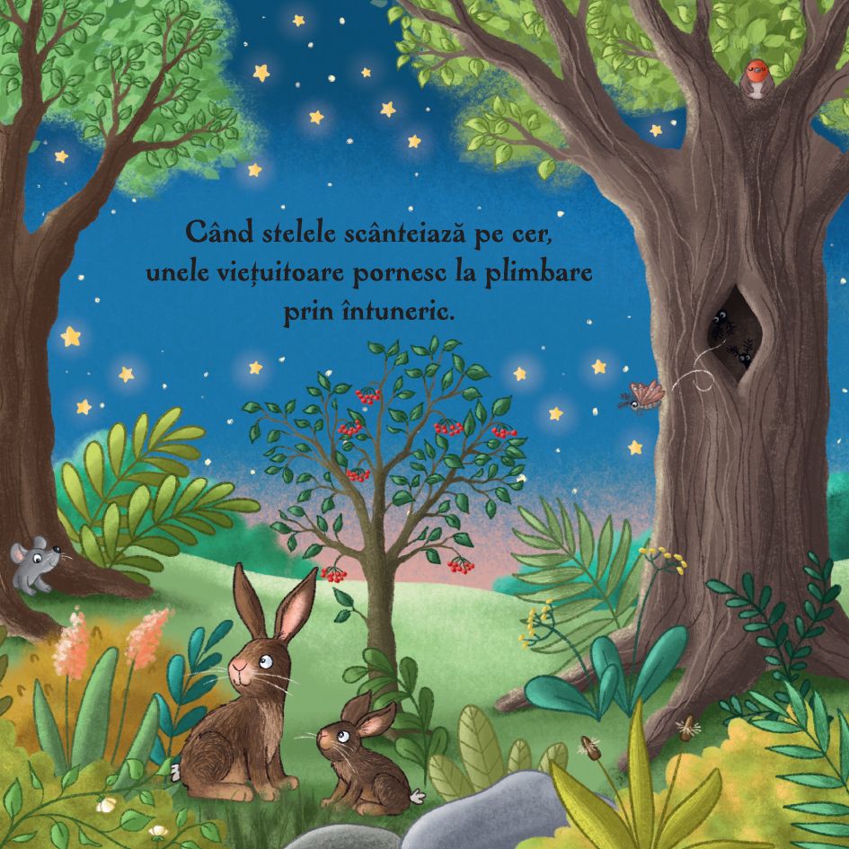 Carte de povesti pentru copii in limba romana Noaptea in Padure