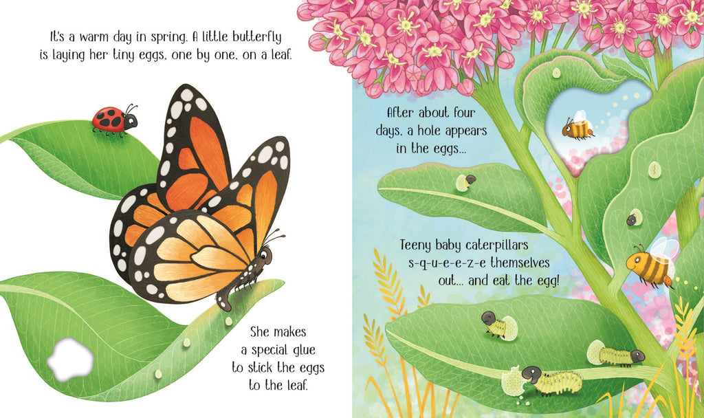 Carte educativa pentru copii ilustrata si cartonata integral Usborne One Little Butterfly