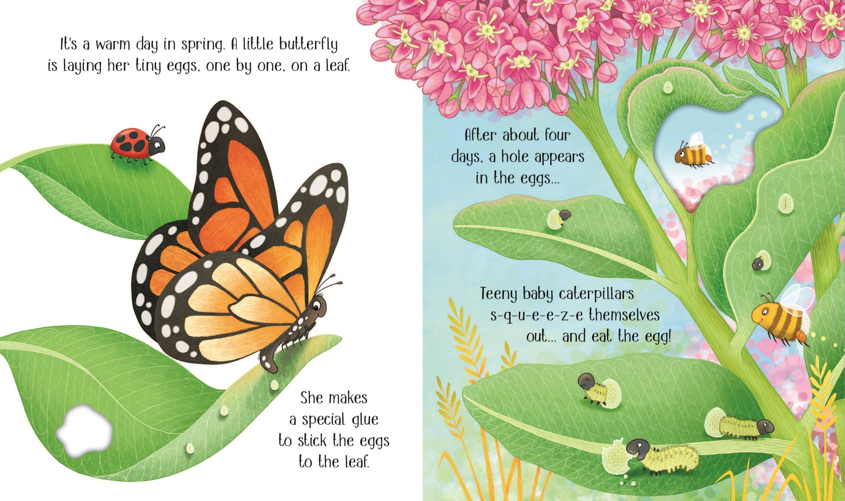 Carte educativa pentru copii ilustrata si cartonata integral Usborne One Little Butterfly