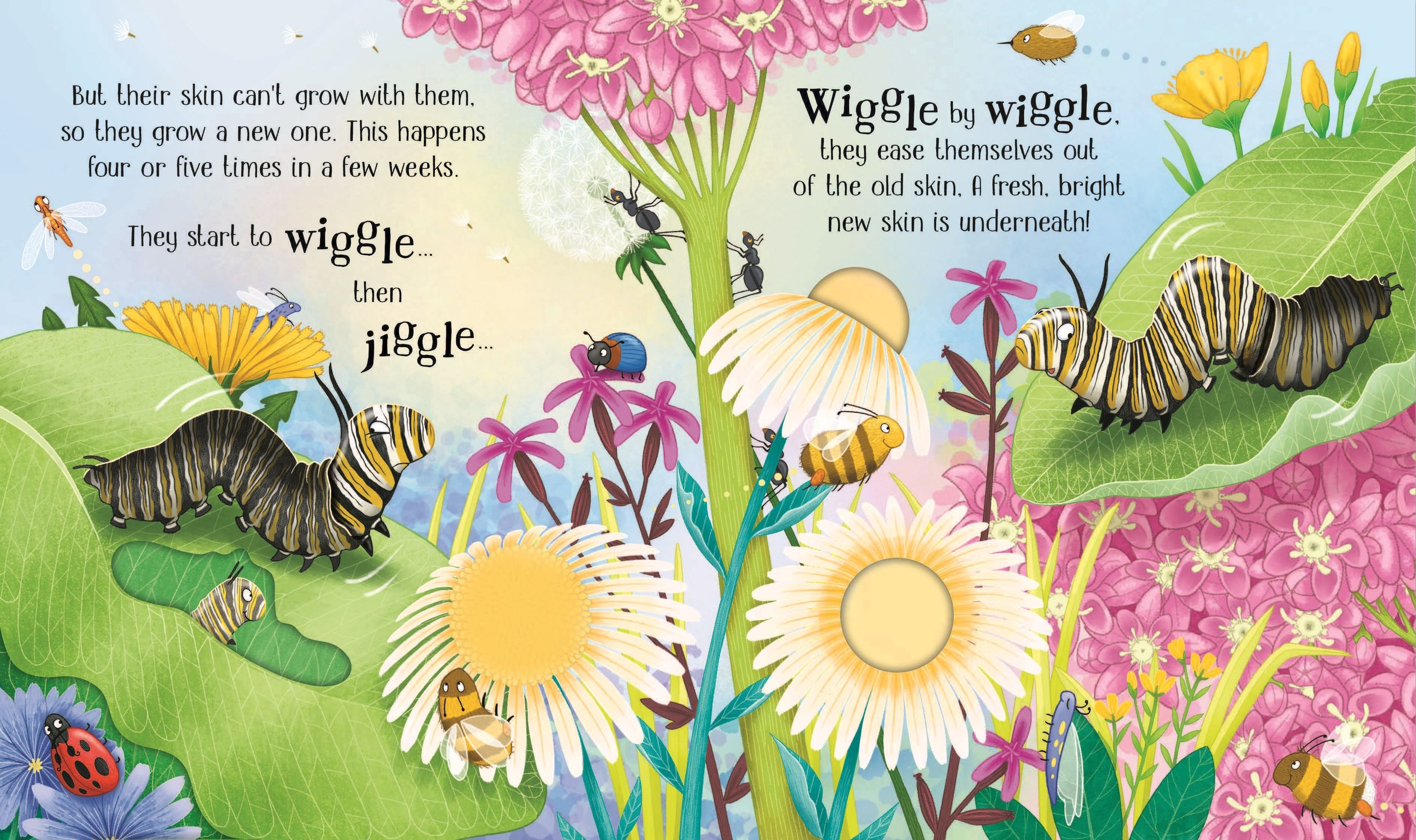 Carte educativa pentru copii ilustrata si cartonata integral Usborne One Little Butterfly