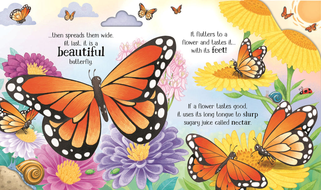 Carte educativa pentru copii ilustrata si cartonata integral Usborne One Little Butterfly