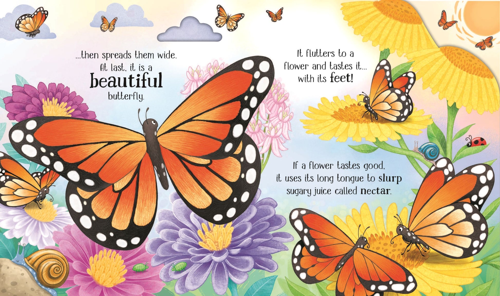 Carte educativa pentru copii ilustrata si cartonata integral Usborne One Little Butterfly