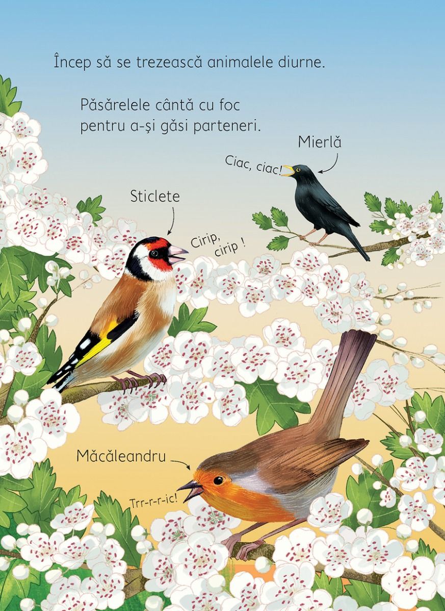 Carte educativa pentru copii Usborne in limba romana Noaptea si Ziua