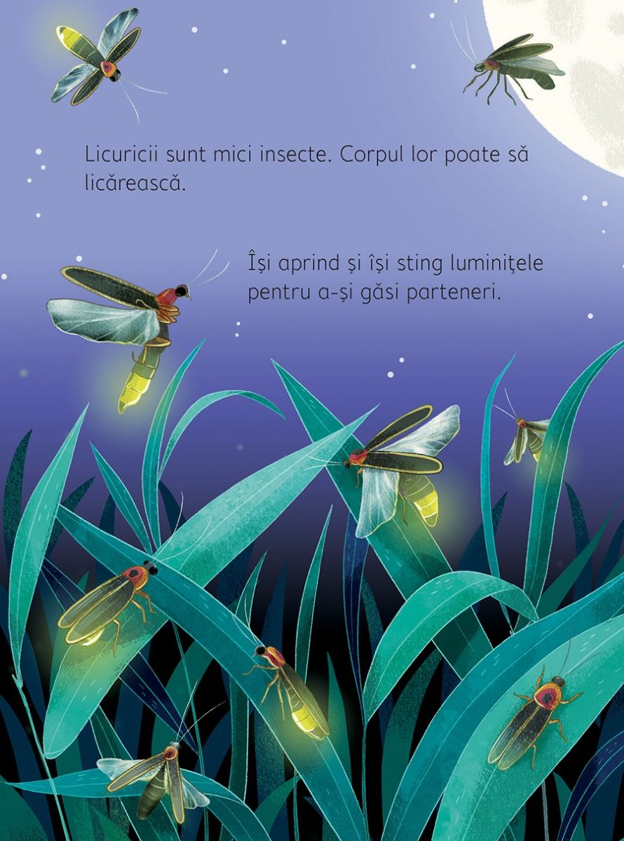 Carte educativa pentru copii Usborne in limba romana Noaptea si Ziua