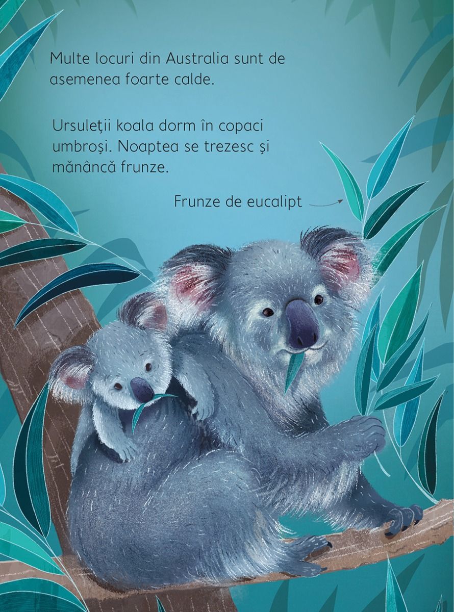 Carte educativa pentru copii Usborne in limba romana Noaptea si Ziua