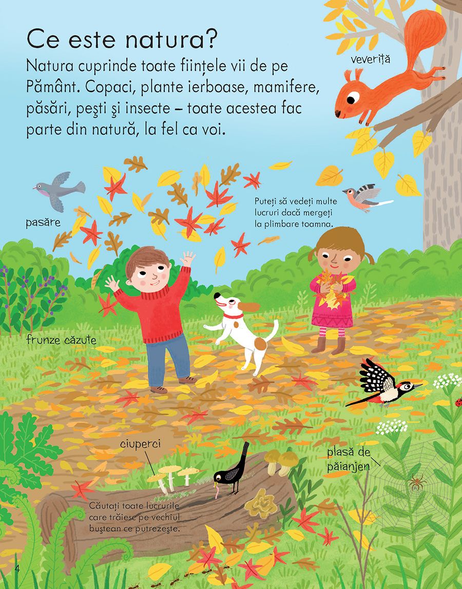 Carte Usborne pentru copii in limba romana Prima Mea Carte Despre Natura