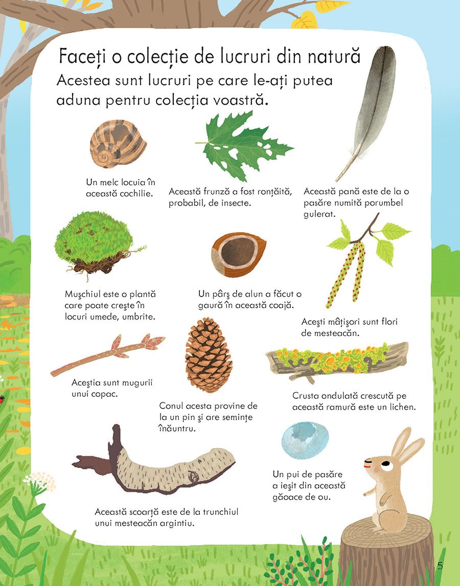 Carte Usborne pentru copii in limba romana Prima Mea Carte Despre Natura