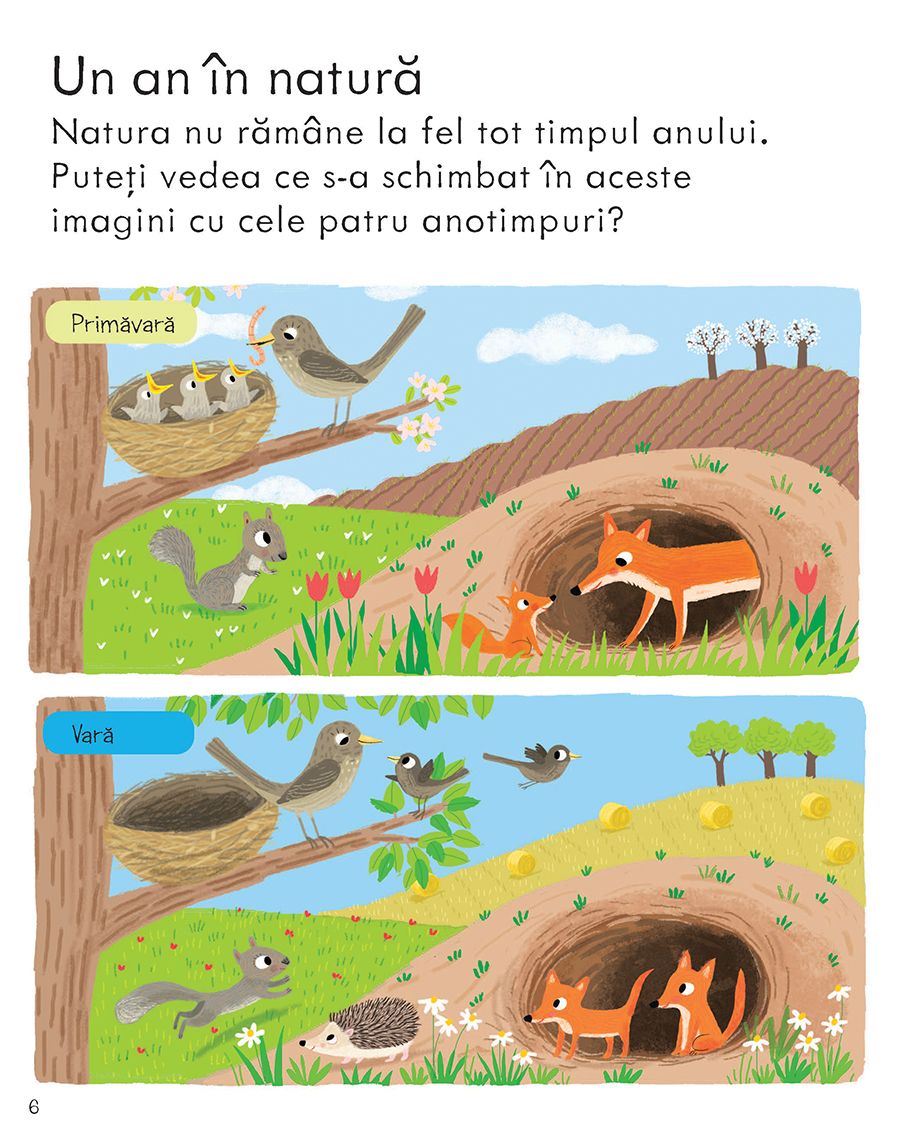 Carte Usborne pentru copii in limba romana Prima Mea Carte Despre Natura