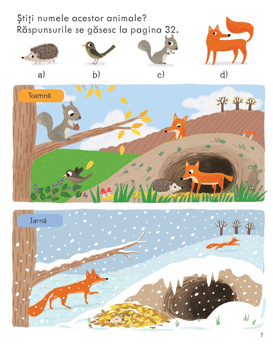 Carte Usborne pentru copii in limba romana Prima Mea Carte Despre Natura