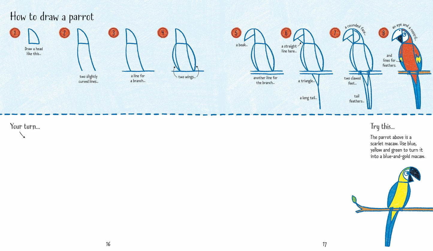 Carte de activitati pentru copii Usborne Step by Step Drawing