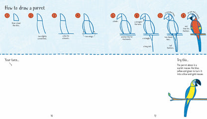 Carte de activitati pentru copii Usborne Step by Step Drawing