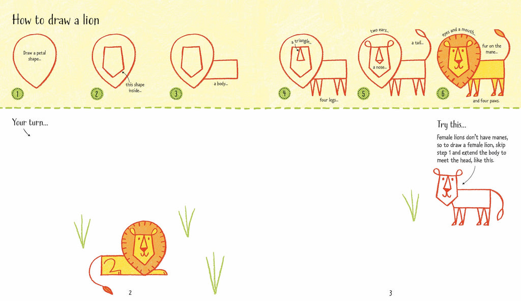 Carte de activitati pentru copii Usborne Step by Step Drawing