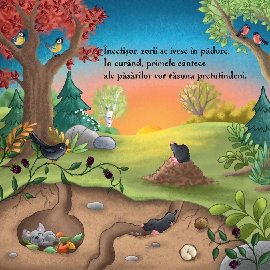 Carte de povesti pentru copii in limba romana Ziua in Padure