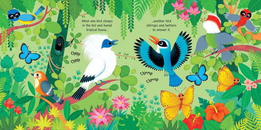 Carte pentru copii cu sunete de la gradina zoologica Usborne Zoo Sounds